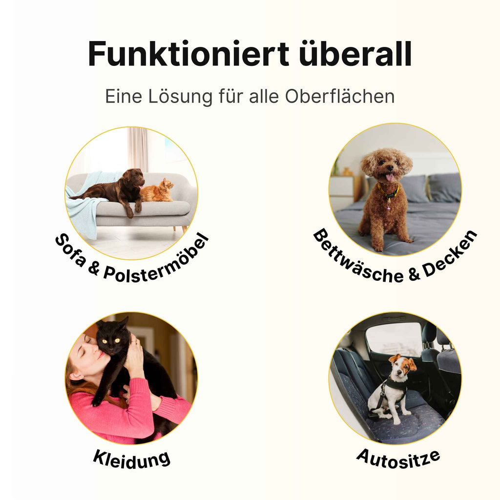 PolsterHeld Fellmagnet auf dem Sofa