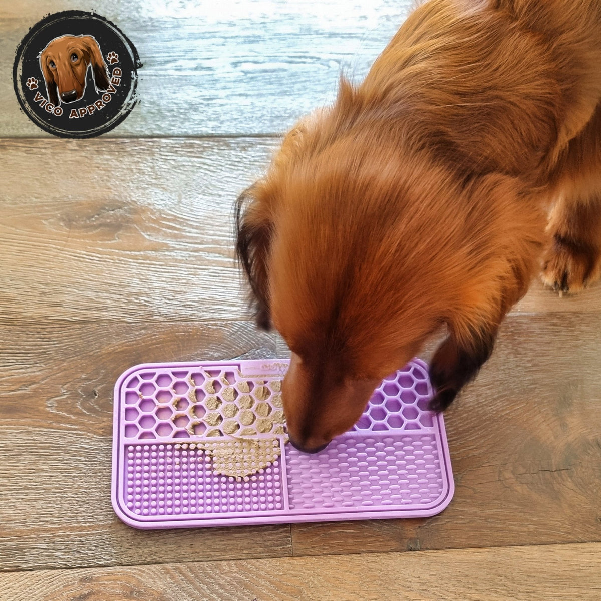 SchleckSpass Leckmatte für Hunde